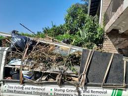 Best Same-Day Junk Removal Services  in South Rockwood, MI