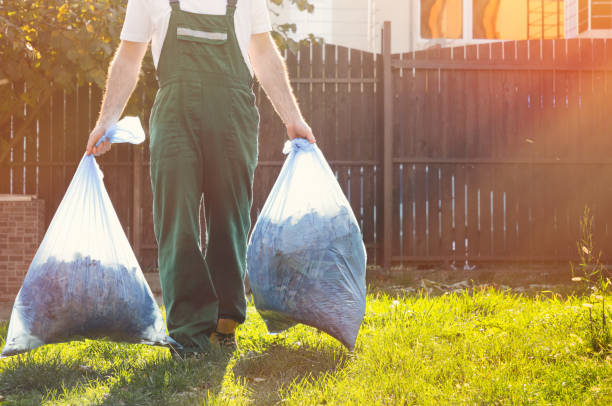 Best Residential Junk Removal  in South Rockwood, MI